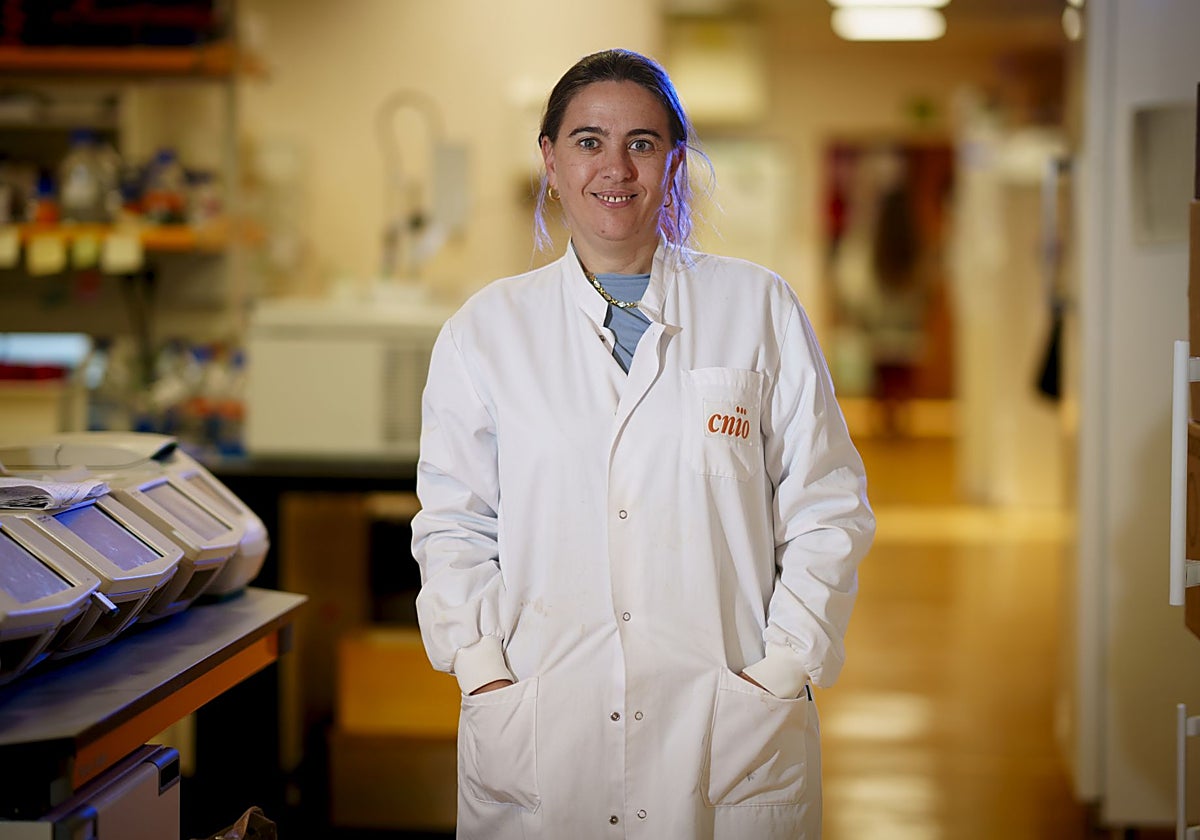 La investigadora Guadalupe Sabio, en su laboratorio del CNIO