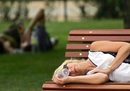 ¿Duermes la siesta? Vigila tu riesgo de desarrollar obesidad