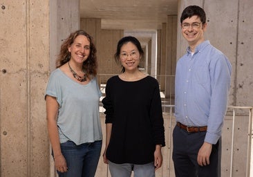 Explican por qué lo que comemos determina la respuesta inmune al cáncer o el VIH