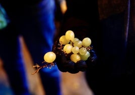 La advertencia de los otorrinos sobre las uvas en Nochevieja: Quién no debería comerlas