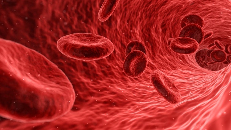 Células 'cómplices' del cáncer: el rol oculto del envejecimiento en los tumores
