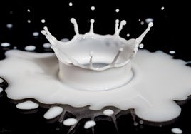 ¿Alergia a la leche de vaca o intolerancia a la lactosa? Claves para entender sus diferencias