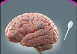 Portada de la revista Brain