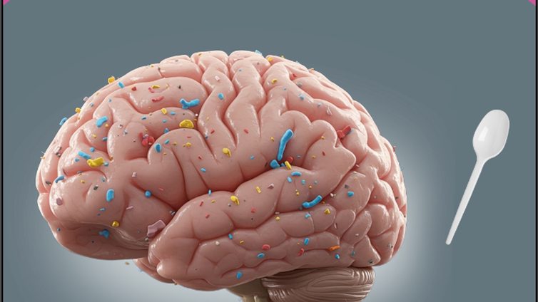 El cerebro humano contiene casi «una cucharada» de microplásticos