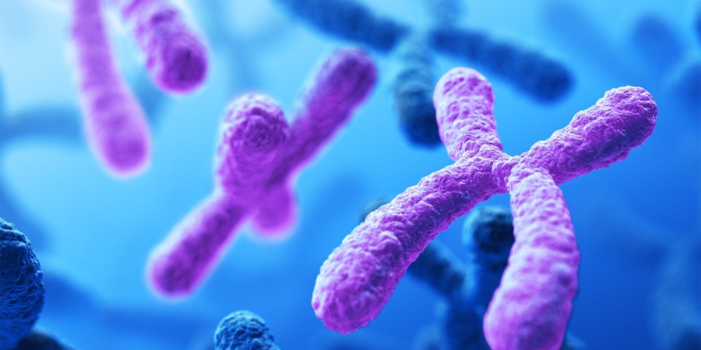 La pérdida del cromosoma Y, la causa por la que algunos cánceres son más agresivos en los hombres