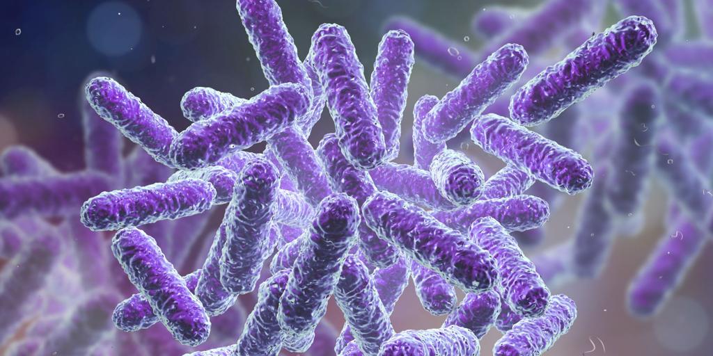 大腸菌とリステリアの感染症は、EUの歴史的な最大値に達します
