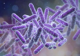 Las infecciones por E. Coli y Listeria alcanzan máximos históricos en la UE