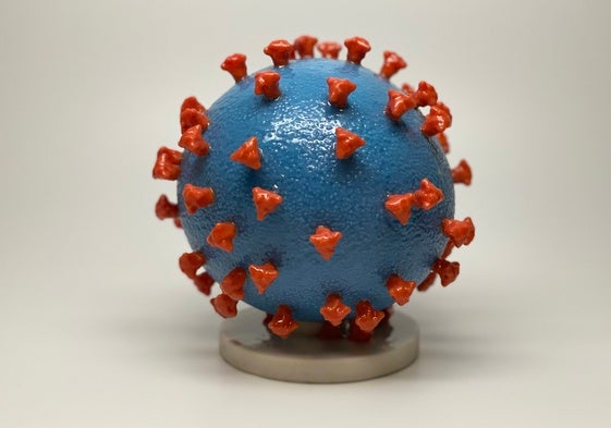 Coronavirus SARS-CoV2