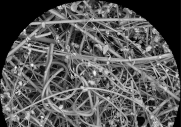 Los microplásticos de casas y coches amenazan nuestra salud