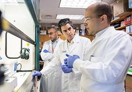 La vacuna 'universal' contra el cáncer, lista para pasar a ensayos en humanos