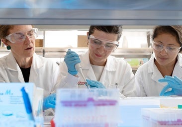 No solo los genes, el estilo de vida también influye en las cardiopatías genéticas