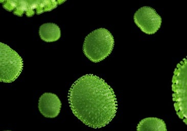 Siete virus que pueden causar cáncer