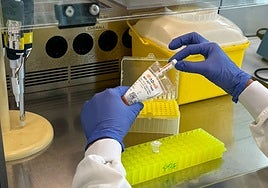 Un análisis de sangre permite anticipar la progresión del alzhéimer