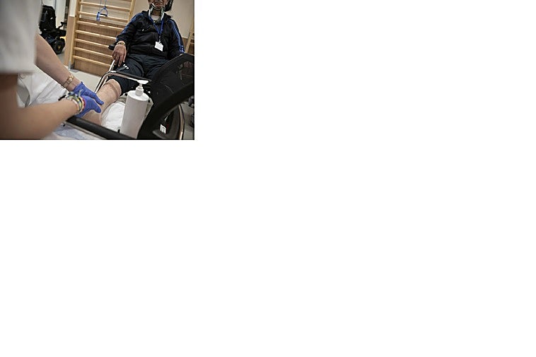 Un estudio sugiere que la ELA es una enfermedad del sistema inmunológico