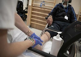 Un estudio sugiere que la ELA es una enfermedad del sistema inmunológico