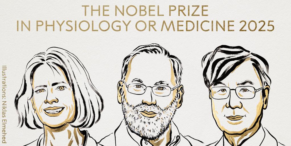 Nobel de Medicina 2025 para Mary E. Brunkow, Fred Ramsdell y Shimon Sakaguchi por sus «descubrimientos sobre la tolerancia inmunitaria periférica»
