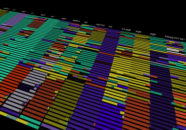 El atlas de la sangre que dice lo sano o no que estás