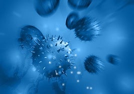 ¿Por qué los tumores crecen tan rápido?