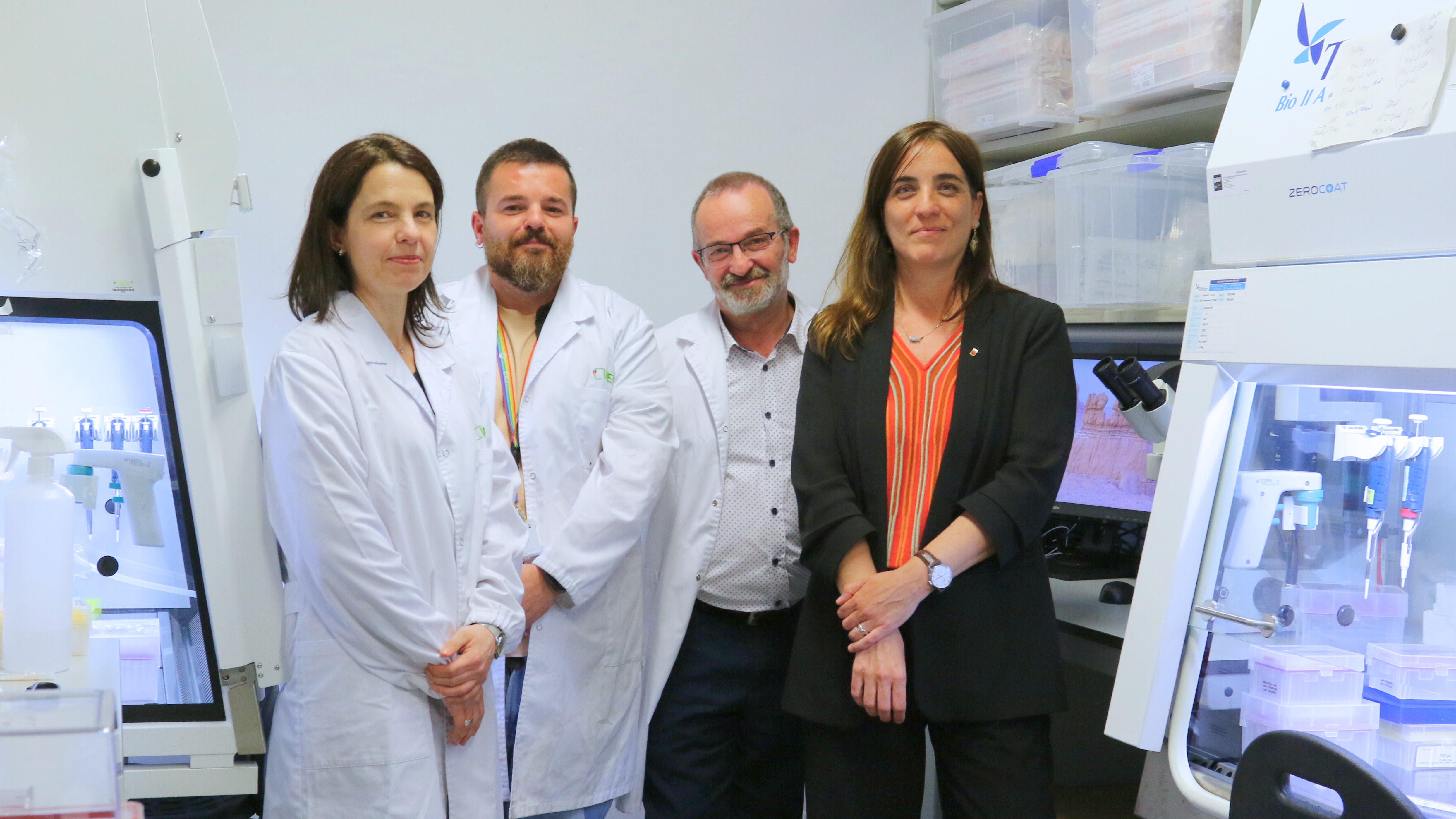 Imagen secundaria 1 - De izquierda a derecha: Elena Garreta Bahima, Daniel Moya Rull, Alberto Centeno Cortés y Núria Montserrat Pulido.Arriba, las imágenes muestran los organoides renales humanos, obtenidos a partir de células madre humanas, preparados para ser perfusionados dentro del riñón porcino.