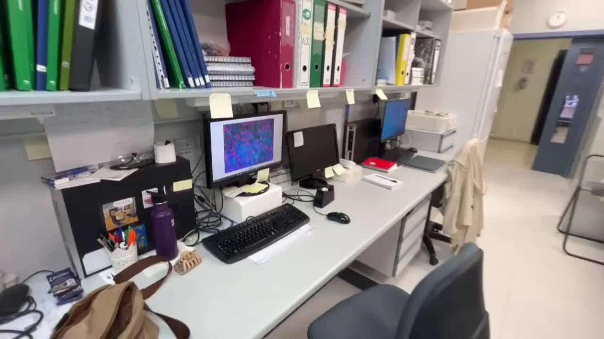 Un laboratorio sevillano, referente mundial para que la diabetes sea solo un recuerdo