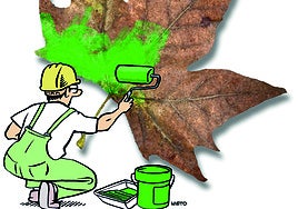 El 'boom' de la medicina de la longevidad llega a España