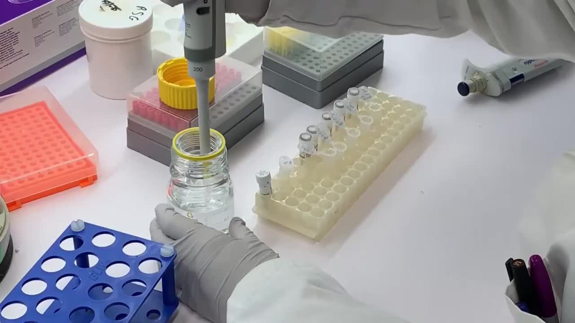 Francia asegura que no es peligroso consumir carne de ave pese a la alerta de gripe aviar