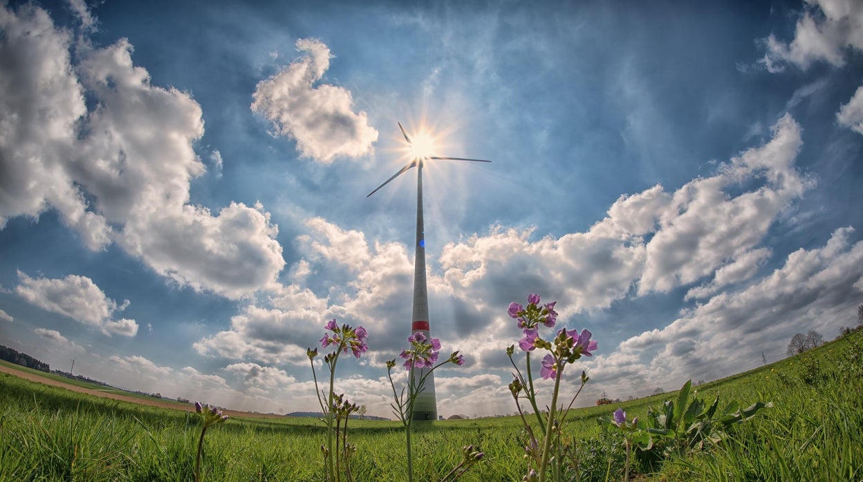 El precio de la luz baja este miércoles 6 de julio, consulta las horas más caras y baratas