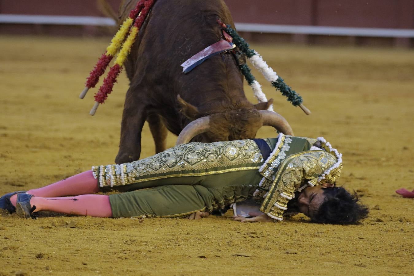 Primera novillada del ciclo de promoción en la Maestranza de Sevilla