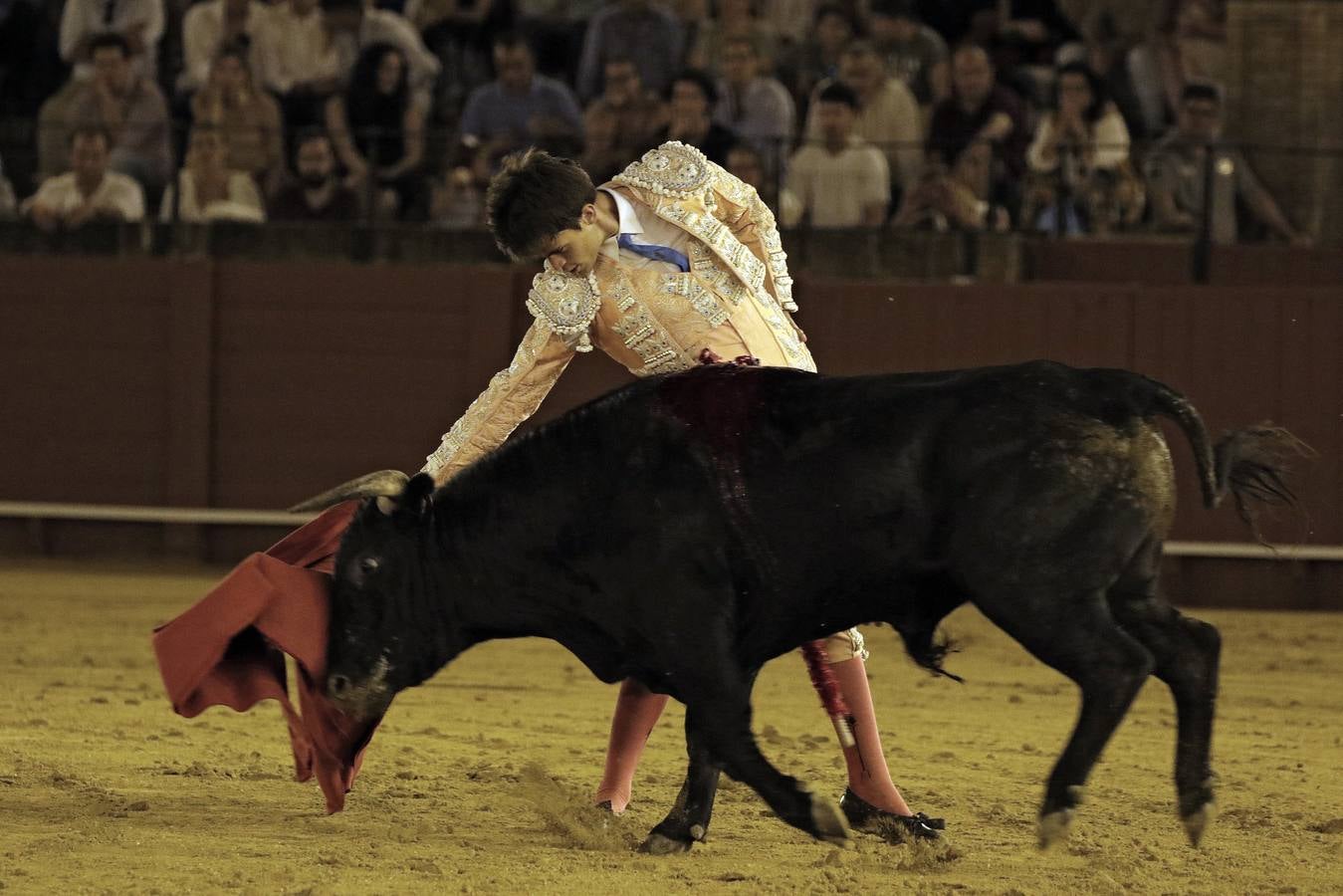 Primera novillada del ciclo de promoción en la Maestranza de Sevilla