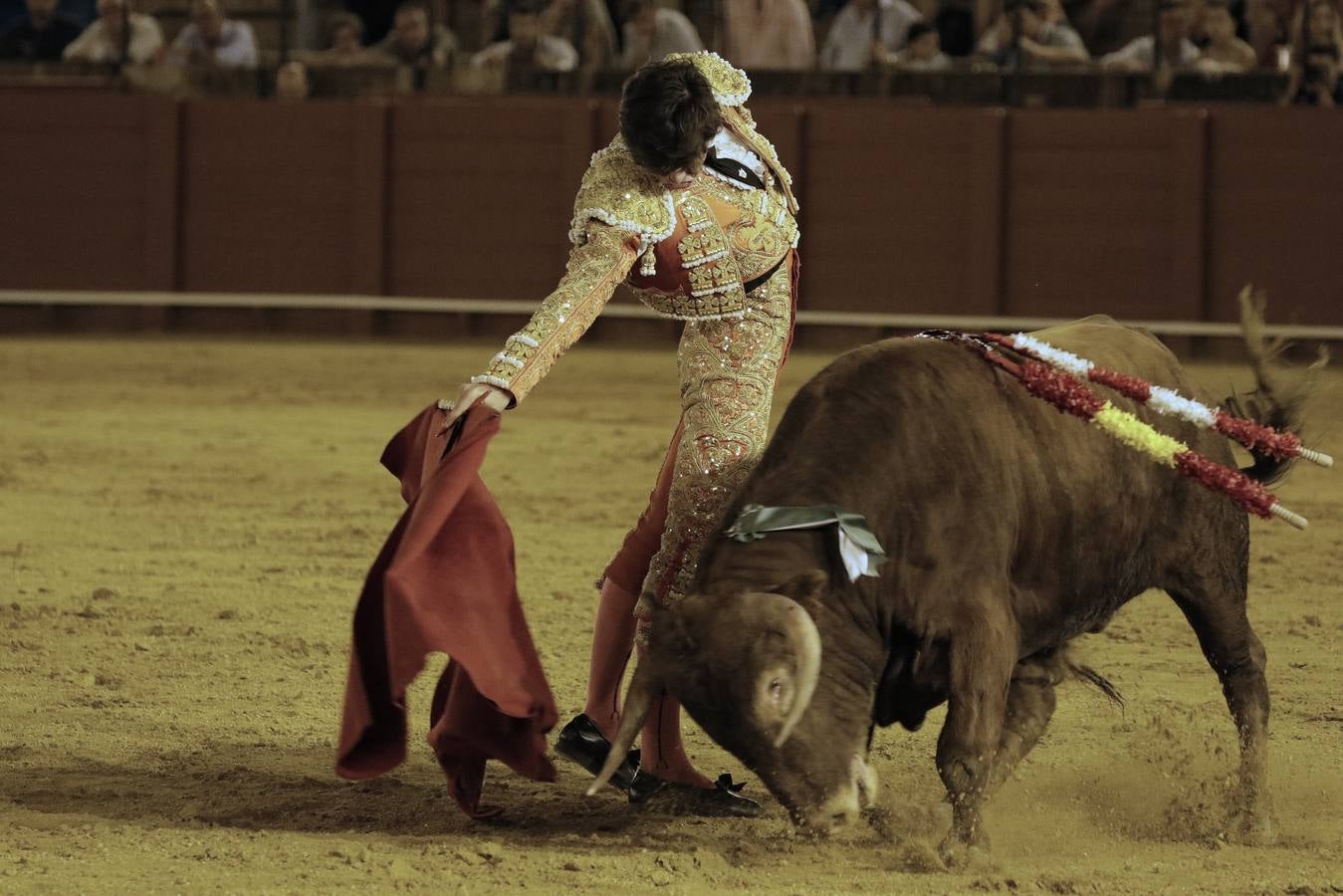 Primera novillada del ciclo de promoción en la Maestranza de Sevilla