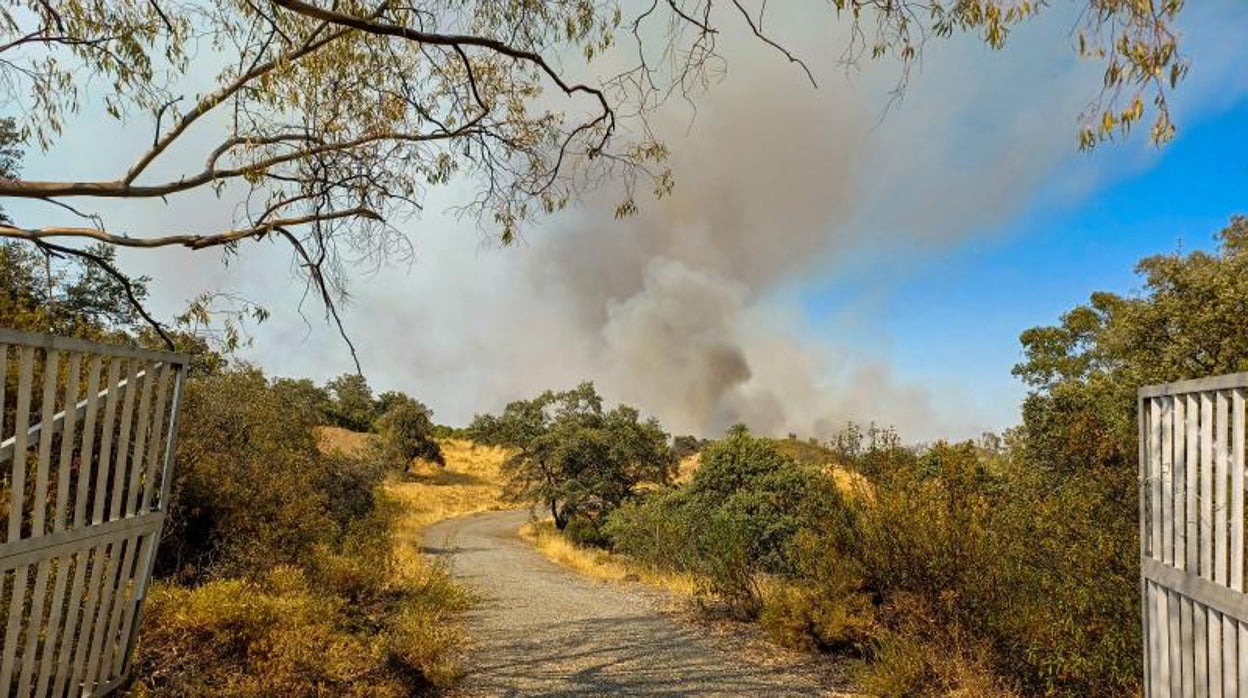 Una chispa de una radial pudo originar el incendio en El Ronquillo este domingo