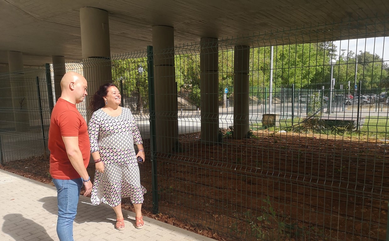 Sevilla Concluyen las obras del sentido