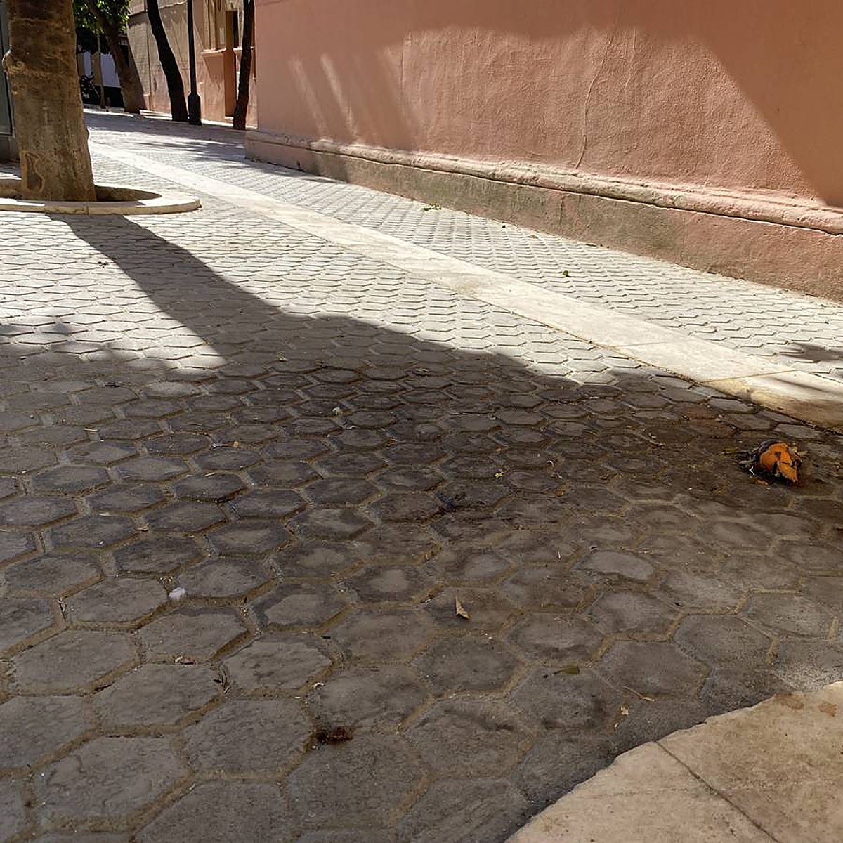 José Luis Sanz exige al alcalde la dimisión del gerente de Lipasam