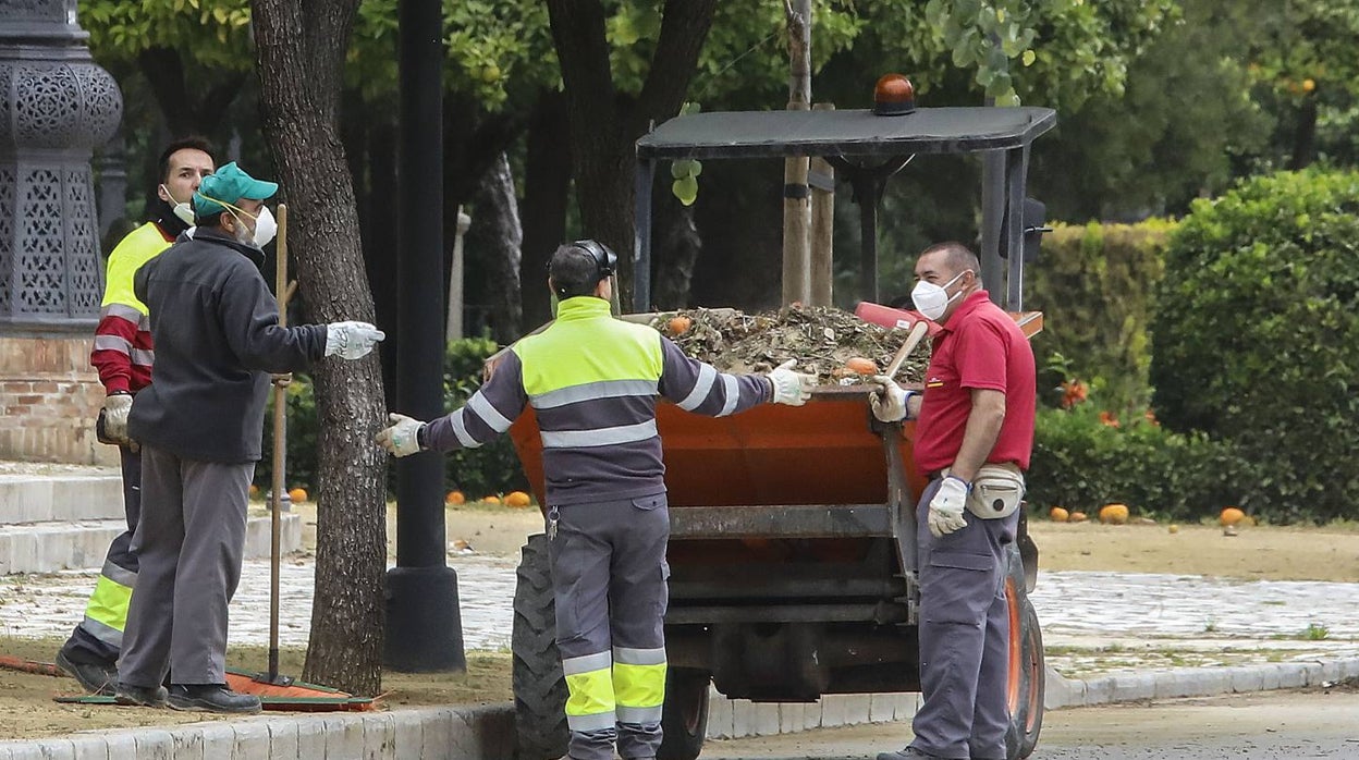 El Ayuntamiento de Sevilla contratará a jóvenes para reforzar los servicios públicos municipales