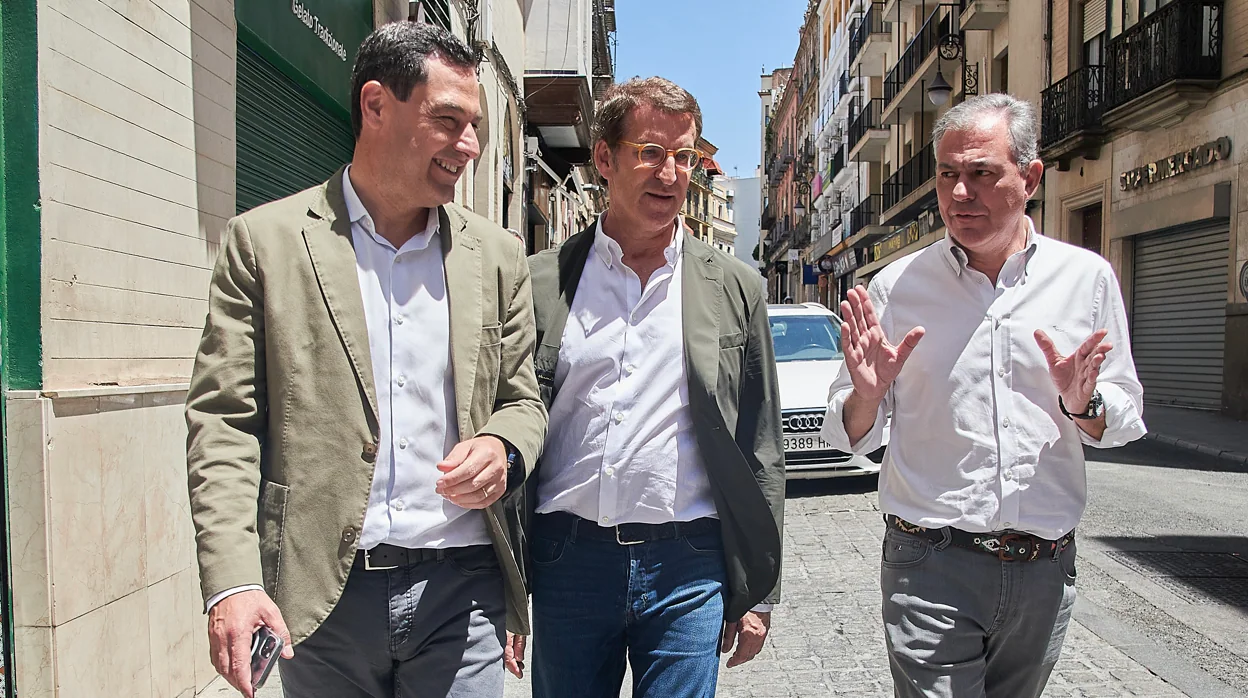 José Luis Sanz aspira a una «mayoría suficiente» para lograr un «gobierno monocolor» tras las municipales de Sevilla