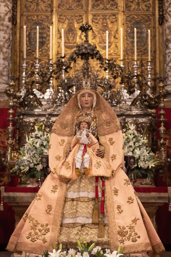 Besamanos a la Virgen de los Reyes