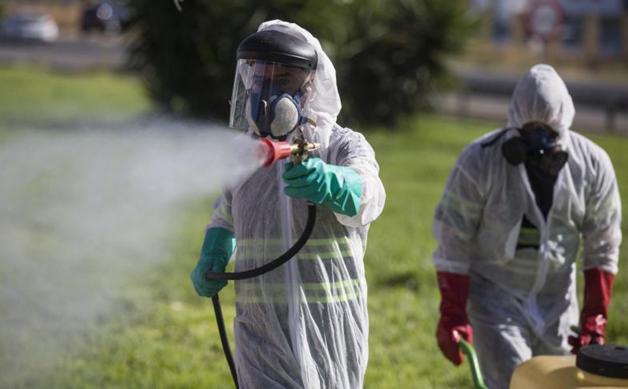 Labores de fumigación contra los mosquitos causantes del virus del Nilo en Coria del Río, en agosto de 2020