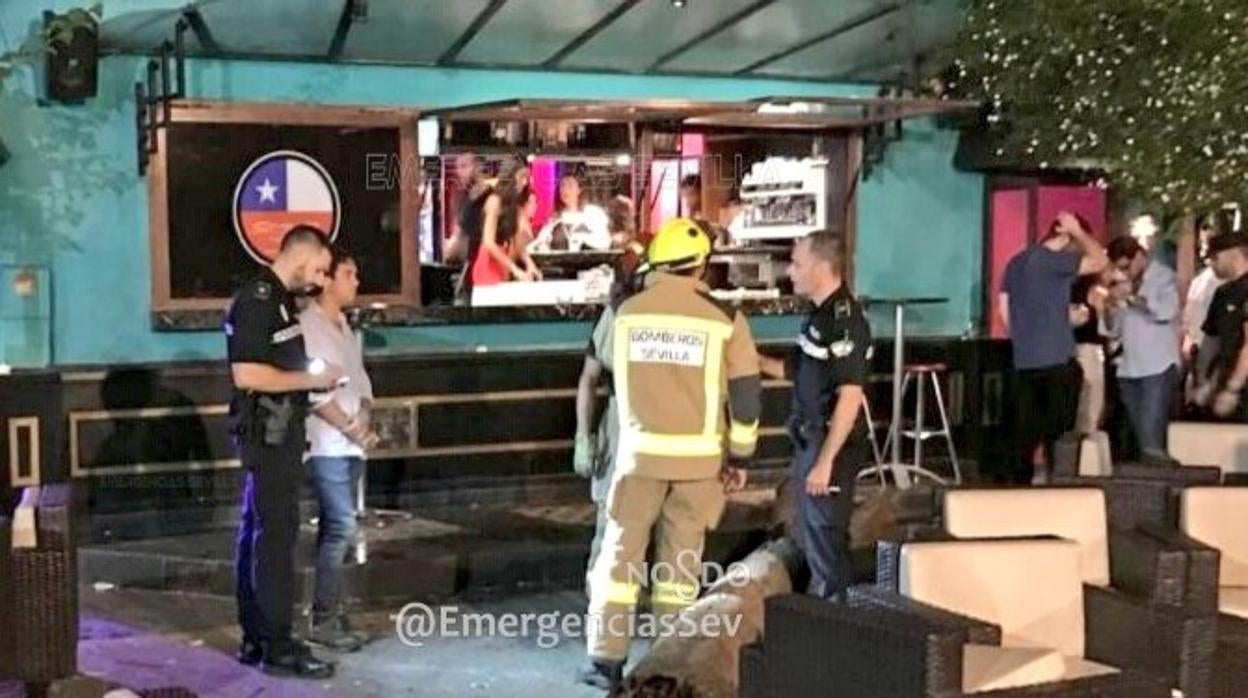 El Ayuntamiento de Sevilla, condenado por la caída de un árbol que provocó siete heridos en el paseo de las Delicias