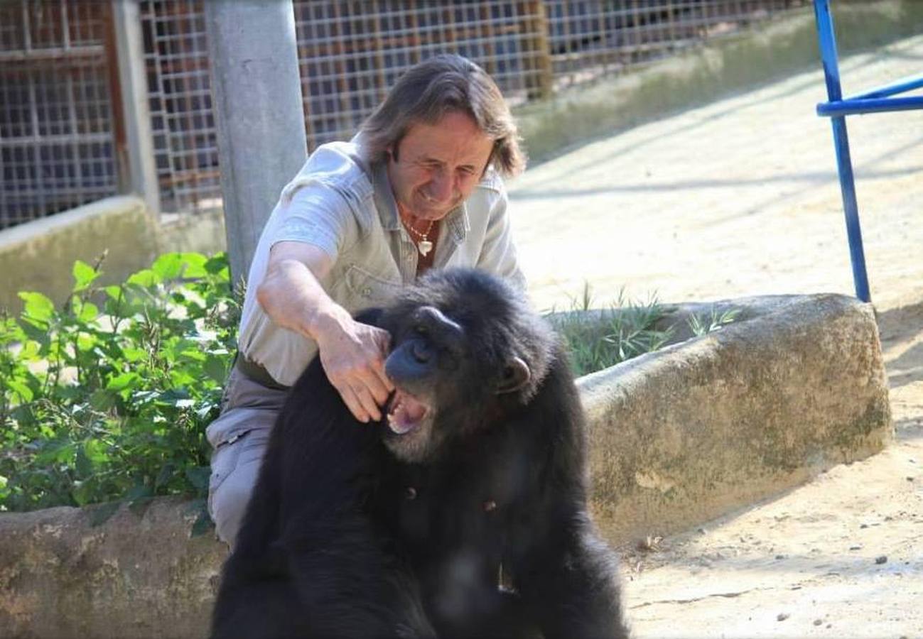 La chimpancé Gina, junto al director de Mundopark, Juan Luis Malpartida