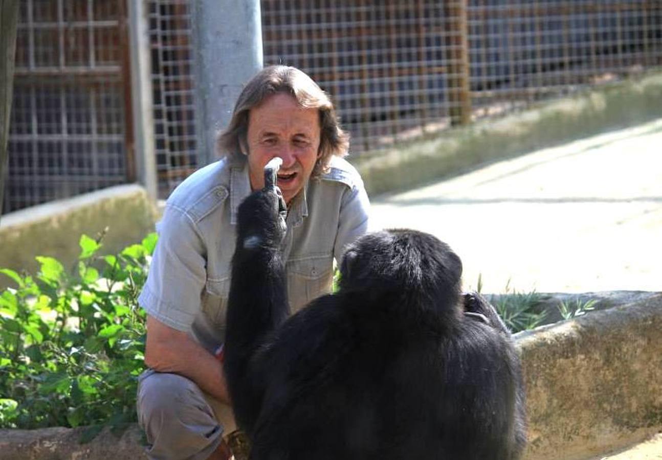 La chimpancé Gina, junto al director de Mundopark, Juan Luis Malpartida