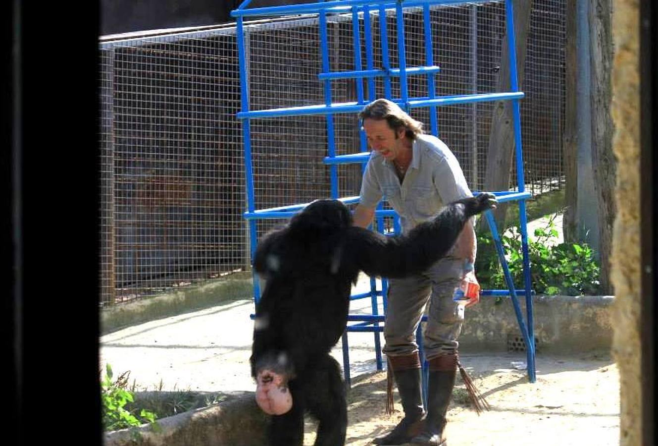 La chimpancé Gina, junto al director de Mundopark, Juan Luis Malpartida