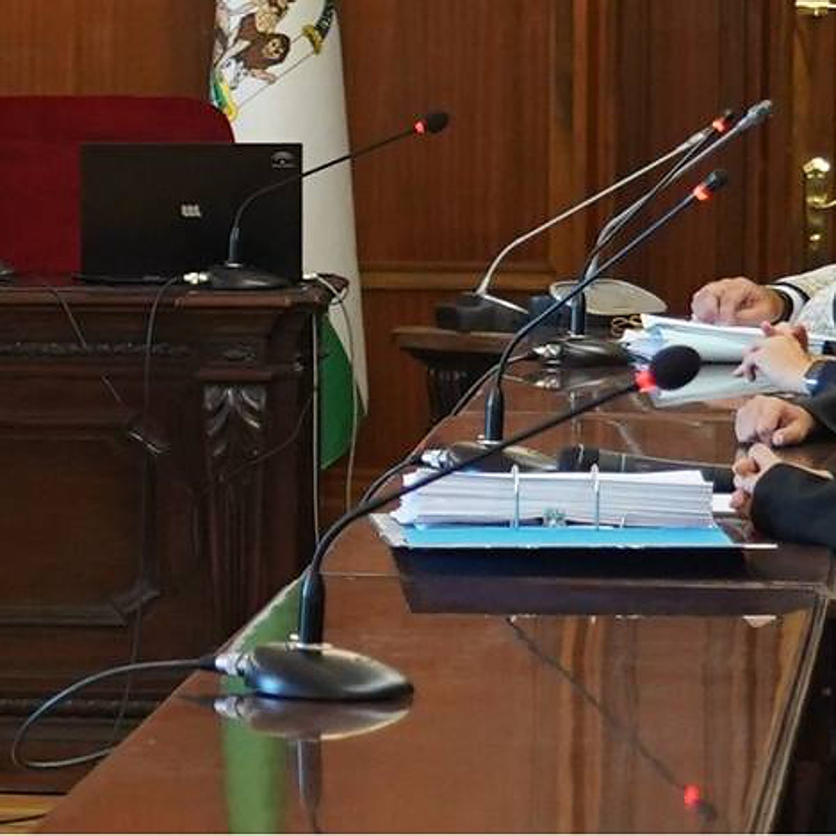 Crimen de Pino Montano: el jurado declara culpable al hombre que mató a su tía asfixiándola «a traición»