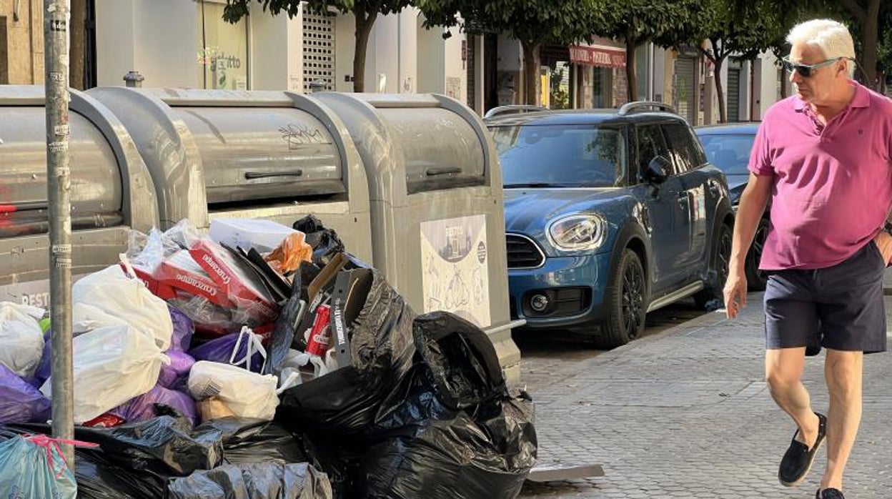 Lanzan una campaña de concienciación para que hosteleros y vecinos hagan de Sevilla «una ciudad más limpia»