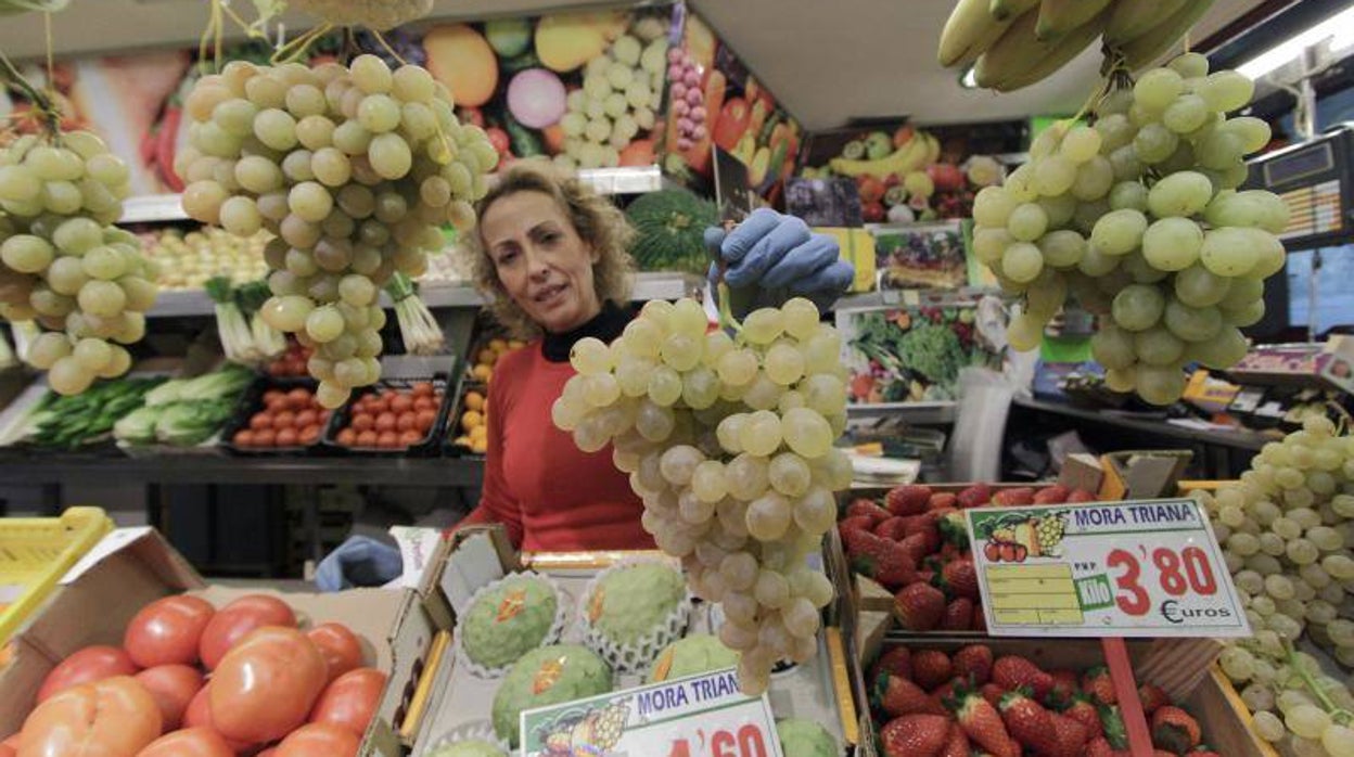 ¿Cómo pueden inscribirse los comercios de Sevilla en el plan de bonos del Ayuntamiento?