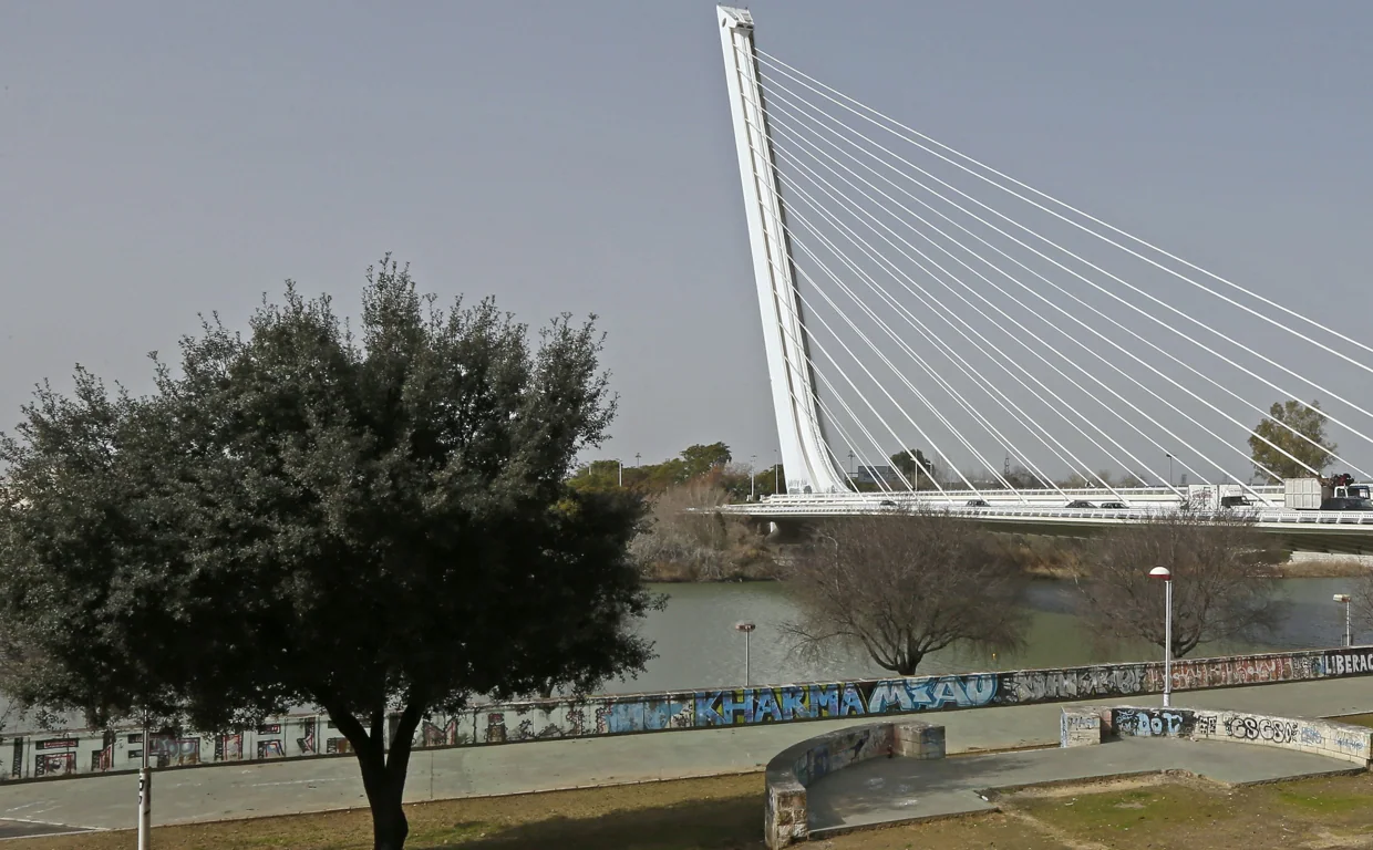 Vista panorámica del puente del Alamillo
