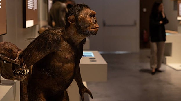 CaixaForum Sevilla desvela los secretos de lo que más nos define como humanos