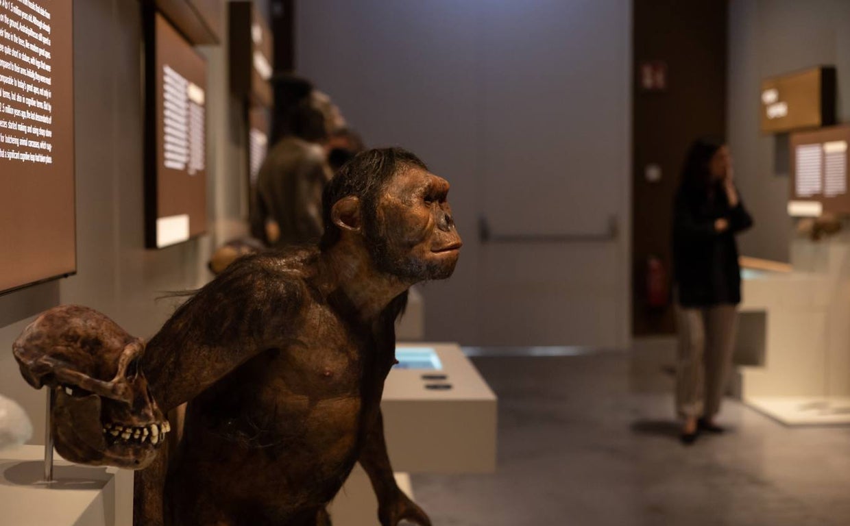 'Talking Brains', la nueva exposición sobre el lenguaje en CaixaForum Sevilla