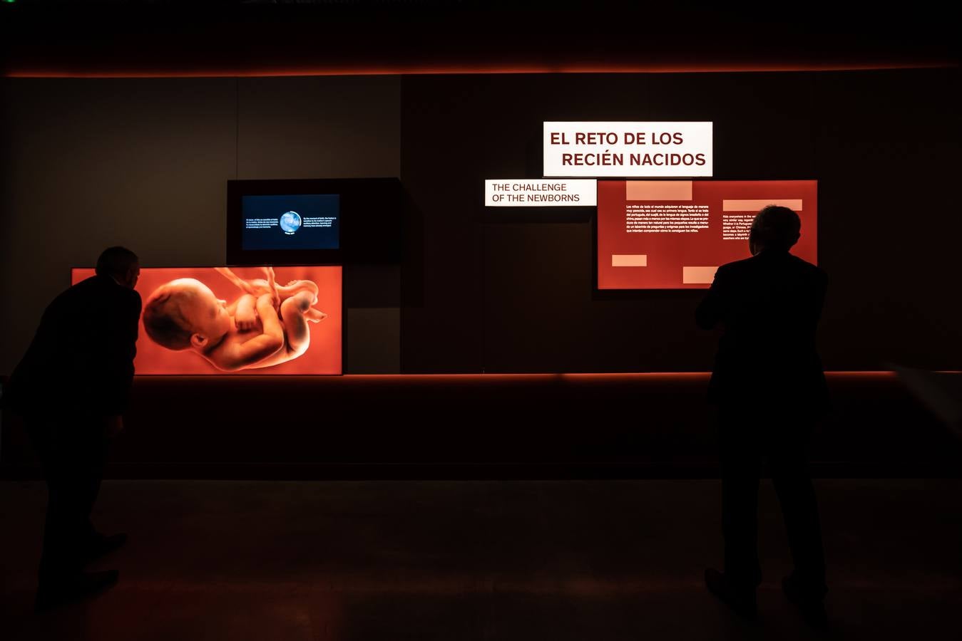 'Talking Brains', la nueva exposición sobre el lenguaje en CaixaForum Sevilla 