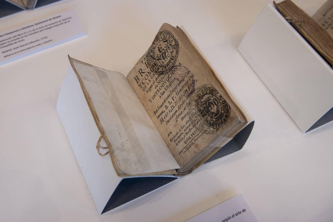 Visitantes y expositores de la muestra 'Nebrija en la Biblioteca de la Universidad de Sevilla'