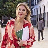 Imagen - «La Junta debería deshacerse de participaciones como la de Ayesa porque no es nuestro cometido ser empresarios»